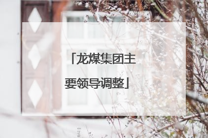 龙煤集团主要领导调整